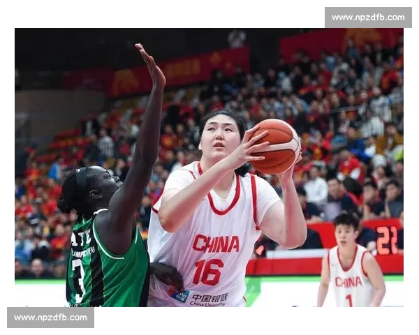 张子宇：内线统治力与战术适配挑战