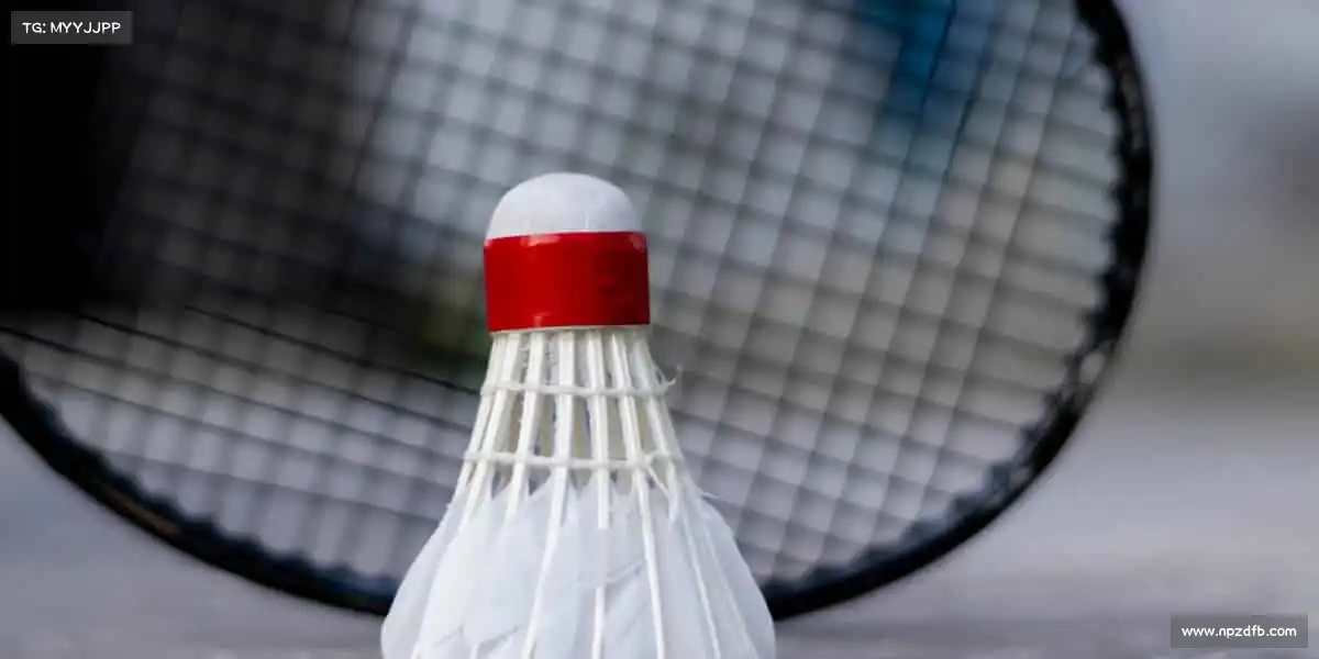 行业领先的理由